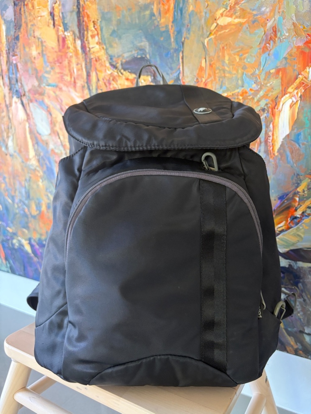 PACSAFE Anti-theft Travel Gear Black Backpack (Unisex)